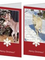CHRISTMAS CARDS